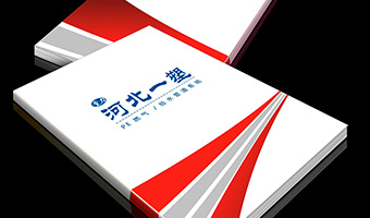 河北一塑